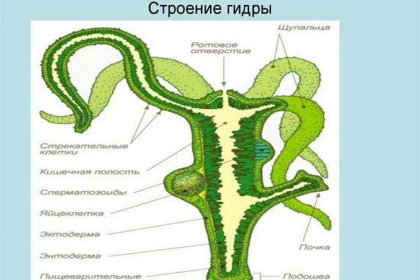 Как зайти на кракен в торе