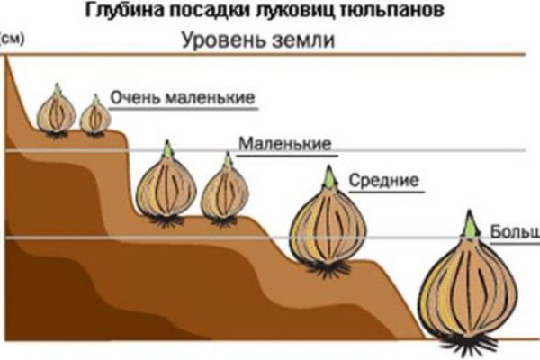 Как пополнить кракен