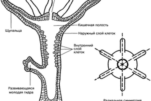 Кракен даркнет плейс